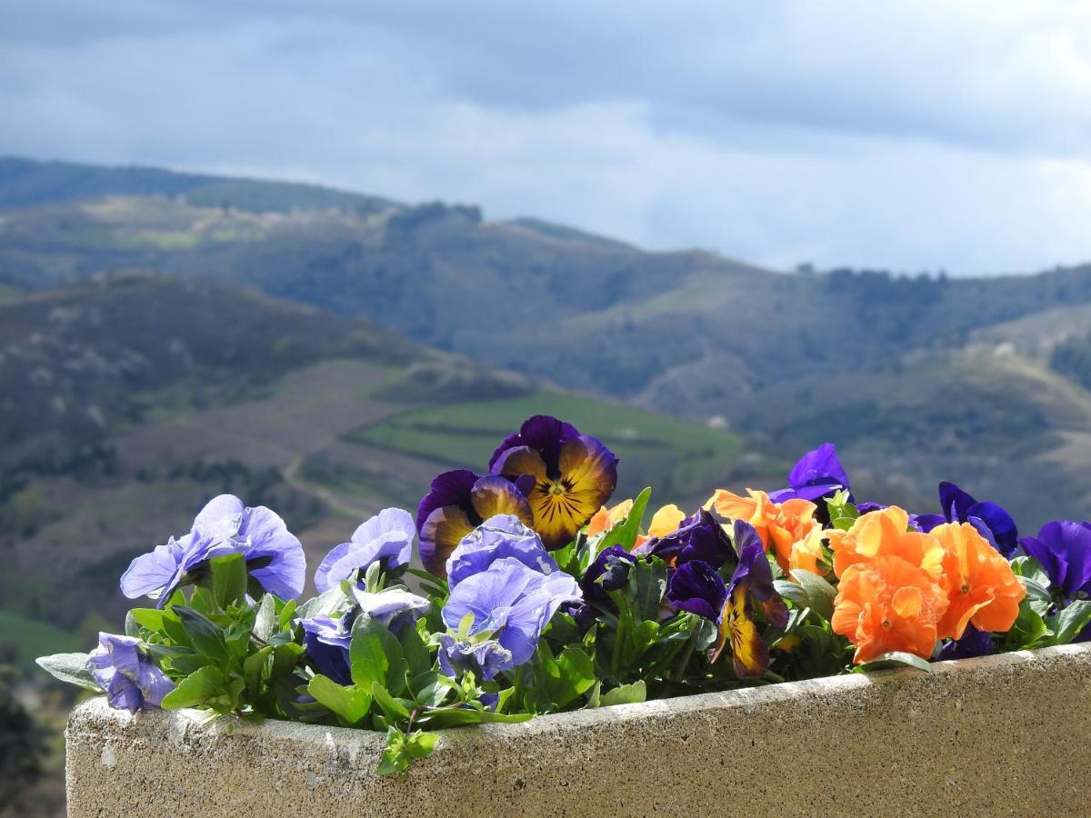 Domaine Des Gardette Hotel Vaux-en-Beaujolais ภายนอก รูปภาพ